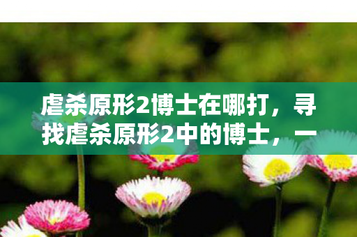 虐杀原形2博士在哪打，寻找虐杀原形2中的博士，一场虚拟世界的探险