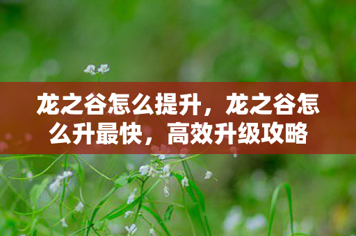 龙之谷怎么提升，龙之谷怎么升最快，高效升级攻略