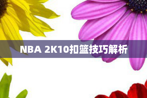 NBA 2K10扣篮技巧解析