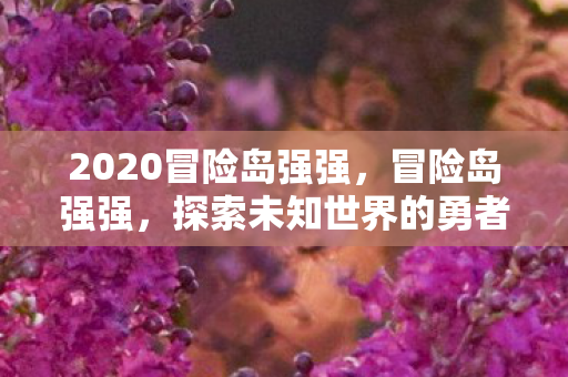 2020冒险岛强强，冒险岛强强，探索未知世界的勇者之旅