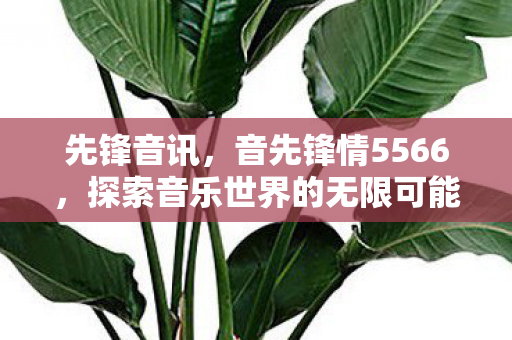 先锋音讯，音先锋情5566，探索音乐世界的无限可能