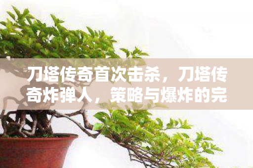 刀塔传奇首次击杀，刀塔传奇炸弹人，策略与爆炸的完美结合