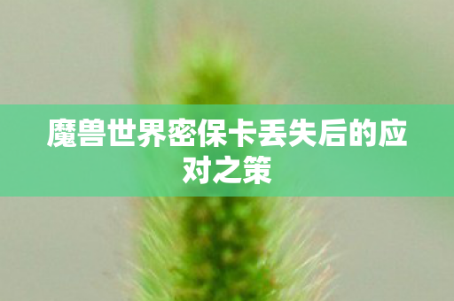魔兽世界密保卡丢失后的应对之策 魔兽世界密保卡丢失后的应对之策