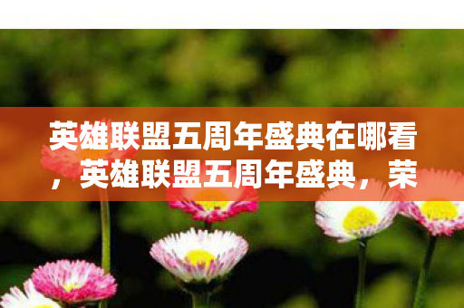 英雄联盟五周年盛典在哪看，英雄联盟五周年盛典，荣耀与梦想的交响