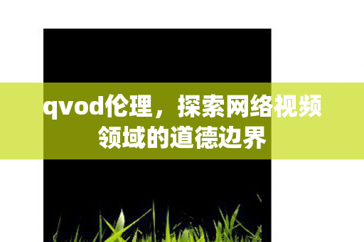 qvod伦理，探索网络视频领域的道德边界