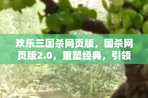 欢乐三国杀网页版，国杀网页版2.0，重塑经典，引领策略卡牌新风尚