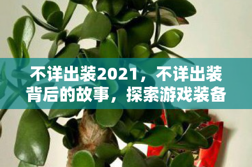 不详出装2021，不详出装背后的故事，探索游戏装备的神秘世界