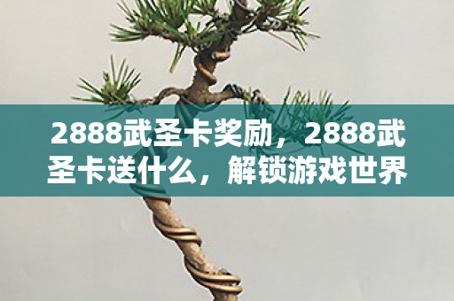 2888武圣卡奖励，2888武圣卡送什么，解锁游戏世界的神秘宝藏