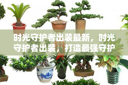 时光守护者出装最新，时光守护者出装，打造最强守护的装备指南