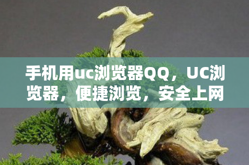 手机用uc浏览器QQ，UC浏览器，便捷浏览，安全上网的得力助手