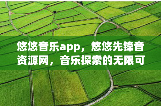 悠悠音乐app，悠悠先锋音资源网，音乐探索的无限可能