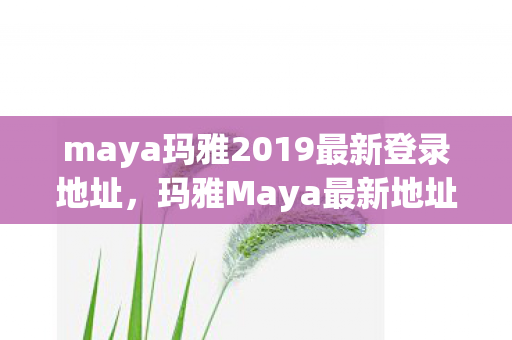 maya玛雅2019最新登录地址，玛雅Maya最新地址2016，探索创意无界的数字艺术殿堂