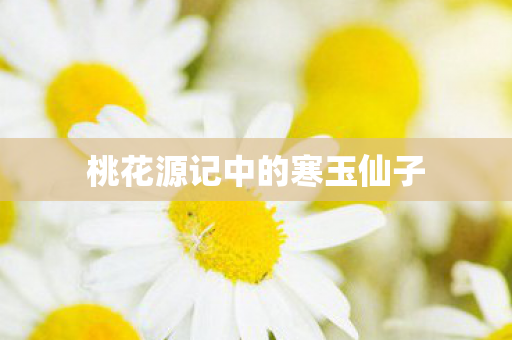 桃花源记中的寒玉仙子