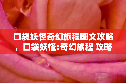 口袋妖怪奇幻旅程图文攻略，口袋妖怪:奇幻旅程 攻略