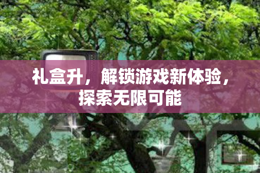 礼盒升，解锁游戏新体验，探索无限可能