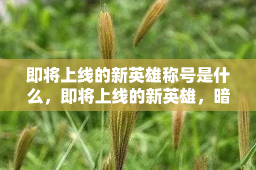 即将上线的新英雄称号是什么，即将上线的新英雄，暗影猎手，神秘而强大的存在