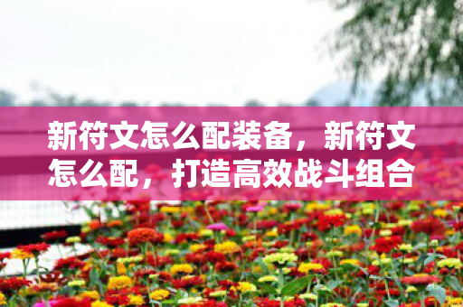新符文怎么配装备，新符文怎么配，打造高效战斗组合