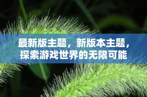 最新版主题，新版本主题，探索游戏世界的无限可能