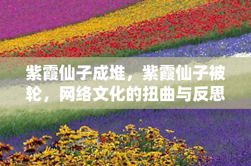 紫霞仙子成堆，紫霞仙子被轮，网络文化的扭曲与反思