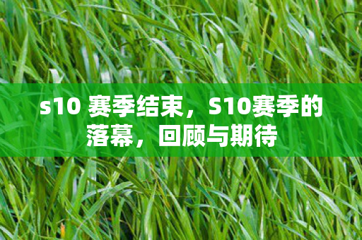 s10 赛季结束，S10赛季的落幕，回顾与期待