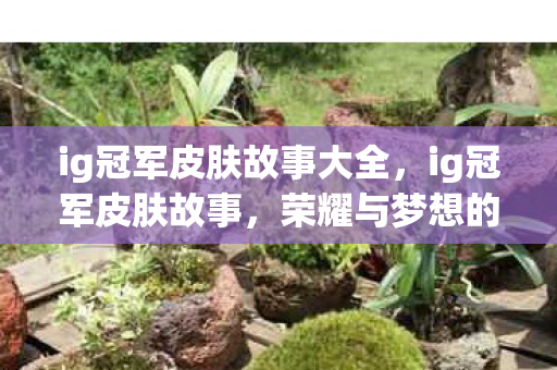 ig冠军皮肤故事大全，ig冠军皮肤故事，荣耀与梦想的交织