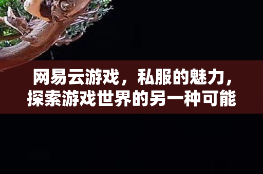 网易云游戏，私服的魅力，探索游戏世界的另一种可能