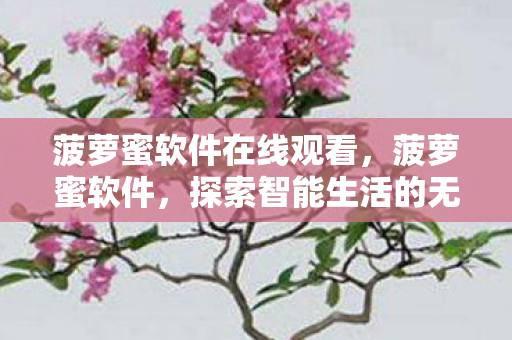 菠萝蜜软件在线观看，菠萝蜜软件，探索智能生活的无限可能