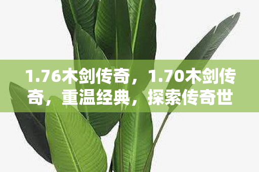 1.76木剑传奇，1.70木剑传奇，重温经典，探索传奇世界的魅力