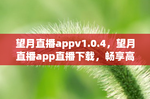望月直播appv1.0.4，望月直播app直播下载，畅享高清直播，尽在掌握
