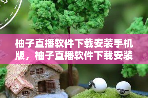 柚子直播软件下载安装手机版，柚子直播软件下载安装，轻松几步，开启直播新体验
