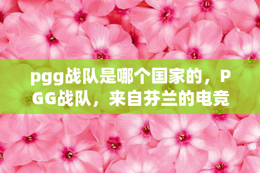 pgg战队是哪个国家的，PGG战队，来自芬兰的电竞新星