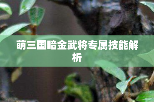 萌三国暗金武将专属技能解析 萌三国暗金武将专属技能解析
