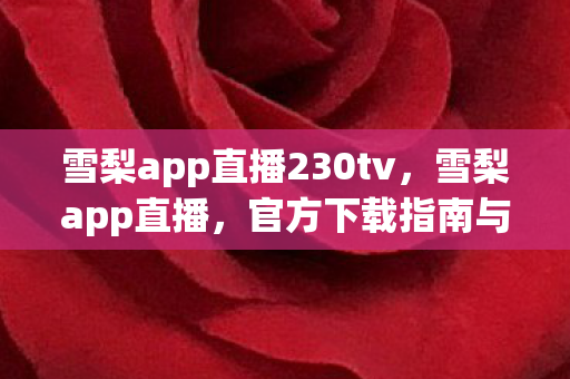 雪梨app直播230tv，雪梨app直播，官方下载指南与体验分享