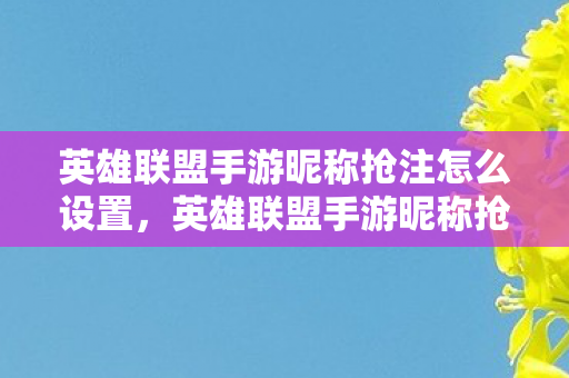 英雄联盟手游昵称抢注怎么设置，英雄联盟手游昵称抢注，一场创意与速度的较量