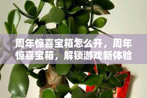 周年惊喜宝箱怎么开，周年惊喜宝箱，解锁游戏新体验，重温经典回忆