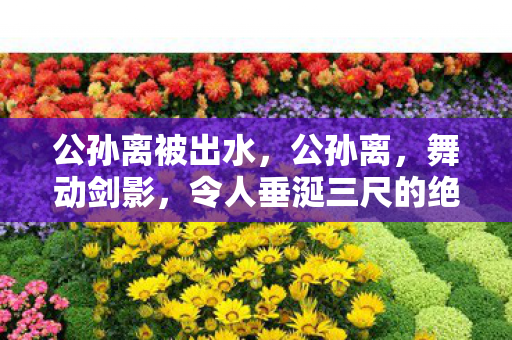 公孙离被出水，公孙离，舞动剑影，令人垂涎三尺的绝美瞬间