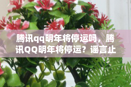 腾讯qq明年将停运吗，腾讯QQ明年将停运？谣言止于智者，真相在此