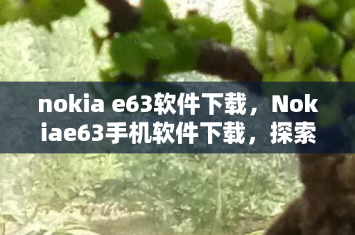 nokia e63软件下载，Nokiae63手机软件下载，探索官方渠道与丰富应用生态