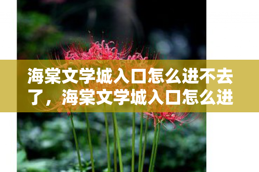 海棠文学城入口怎么进不去了，海棠文学城入口怎么进，探索文学世界的神秘门户