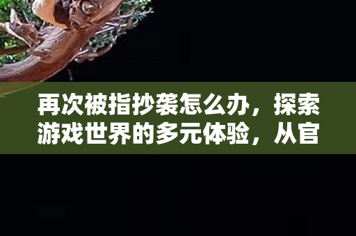 再次被指抄袭怎么办，探索游戏世界的多元体验，从官方到非官方的游戏差异