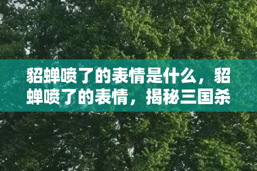 貂蝉喷了的表情是什么，貂蝉喷了的表情，揭秘三国杀名将背后的传奇故事