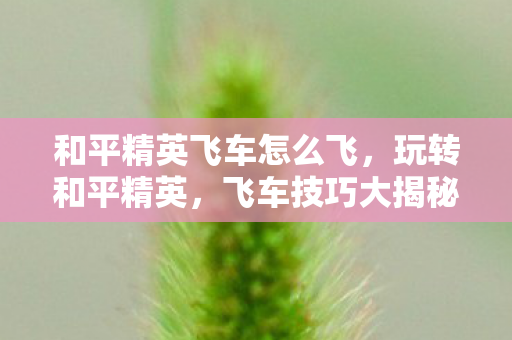 和平精英飞车怎么飞，玩转和平精英，飞车技巧大揭秘