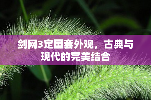 剑网3定国套外观，古典与现代的完美结合