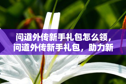 问道外传新手礼包怎么领，问道外传新手礼包，助力新手启程的必备神器