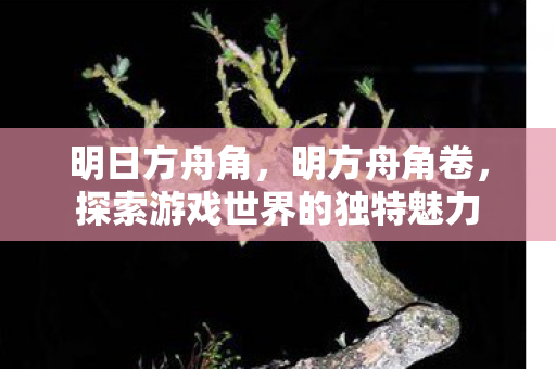 明日方舟角，明方舟角卷，探索游戏世界的独特魅力