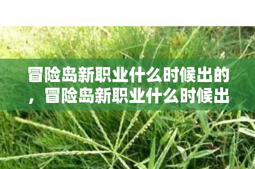 冒险岛新职业什么时候出的，冒险岛新职业什么时候出？揭秘官方发布时间表与玩家期待