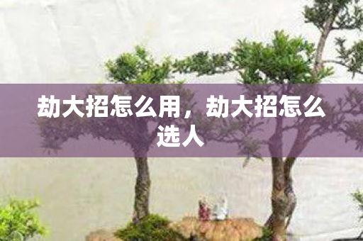 劫大招怎么用，劫大招怎么选人