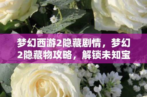 梦幻西游2隐藏剧情，梦幻2隐藏物攻略，解锁未知宝藏的秘籍