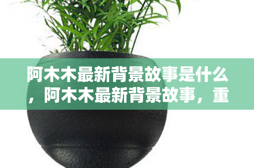 阿木木最新背景故事是什么，阿木木最新背景故事，重生与使命