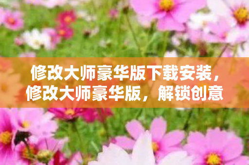 修改大师豪华版下载安装，修改大师豪华版，解锁创意与效率的无限可能